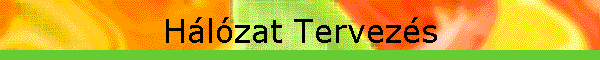 H�l�zat Tervez�s
