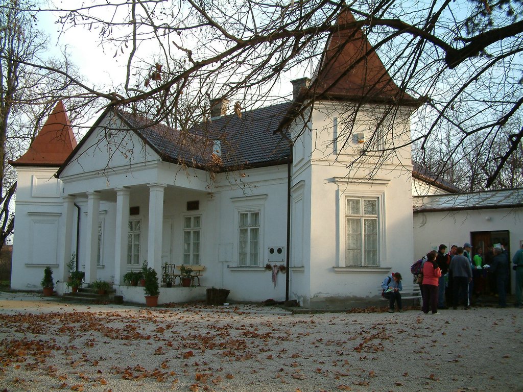 DSCF0004.JPG