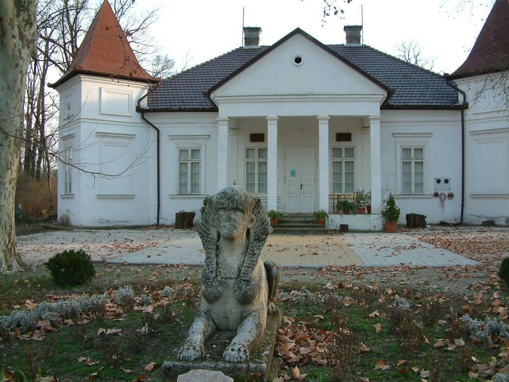 DSCF0005.JPG
