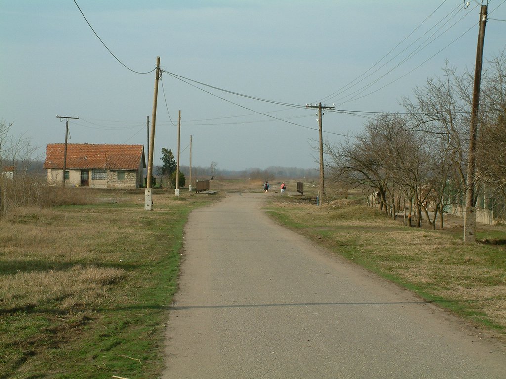 DSCF0012.JPG