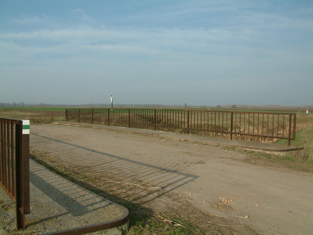 DSCF0013.JPG