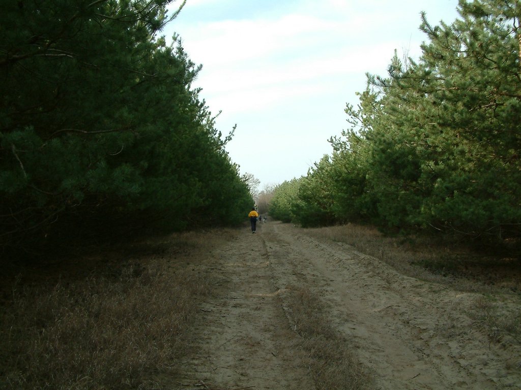 DSCF0015.JPG