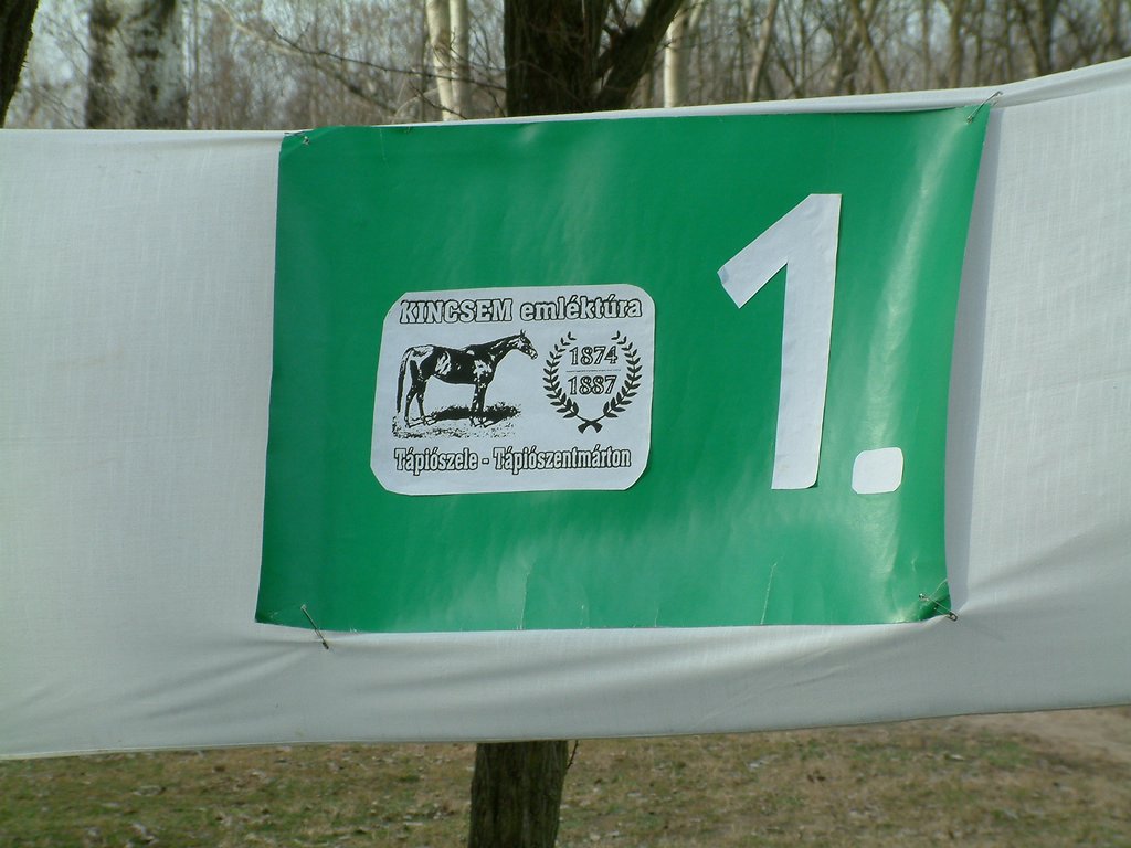 DSCF0017.JPG