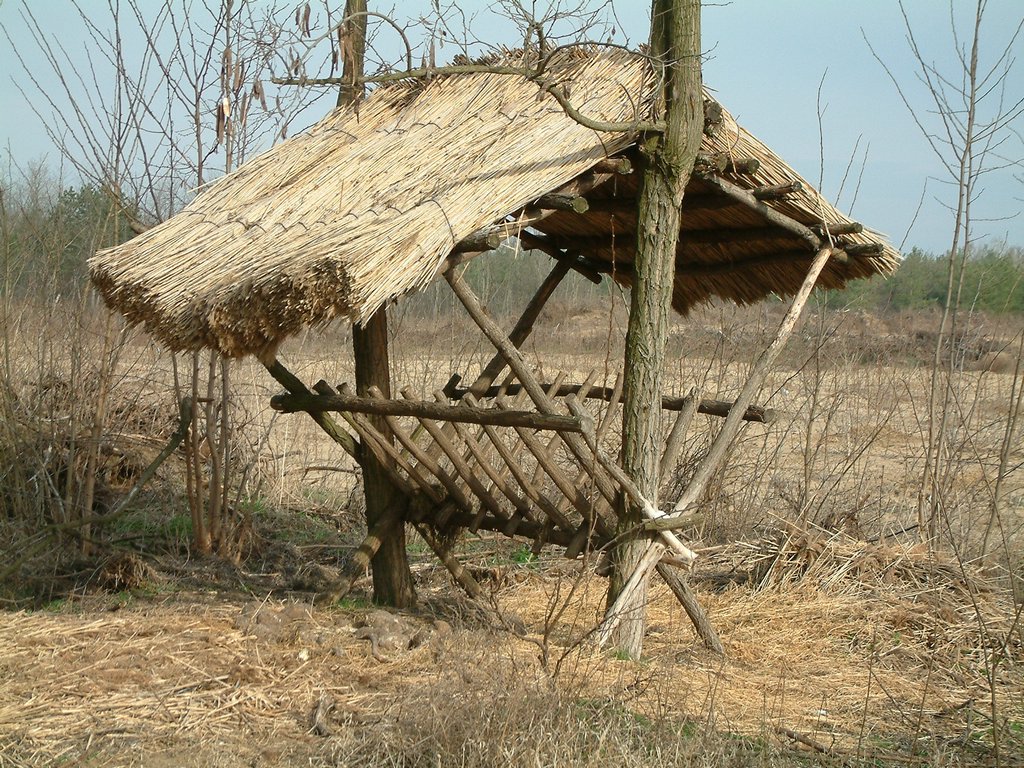 DSCF0020.JPG