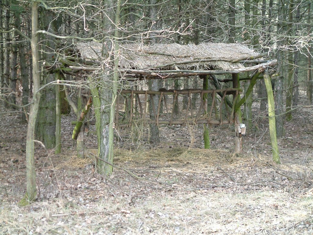 DSCF0021.JPG