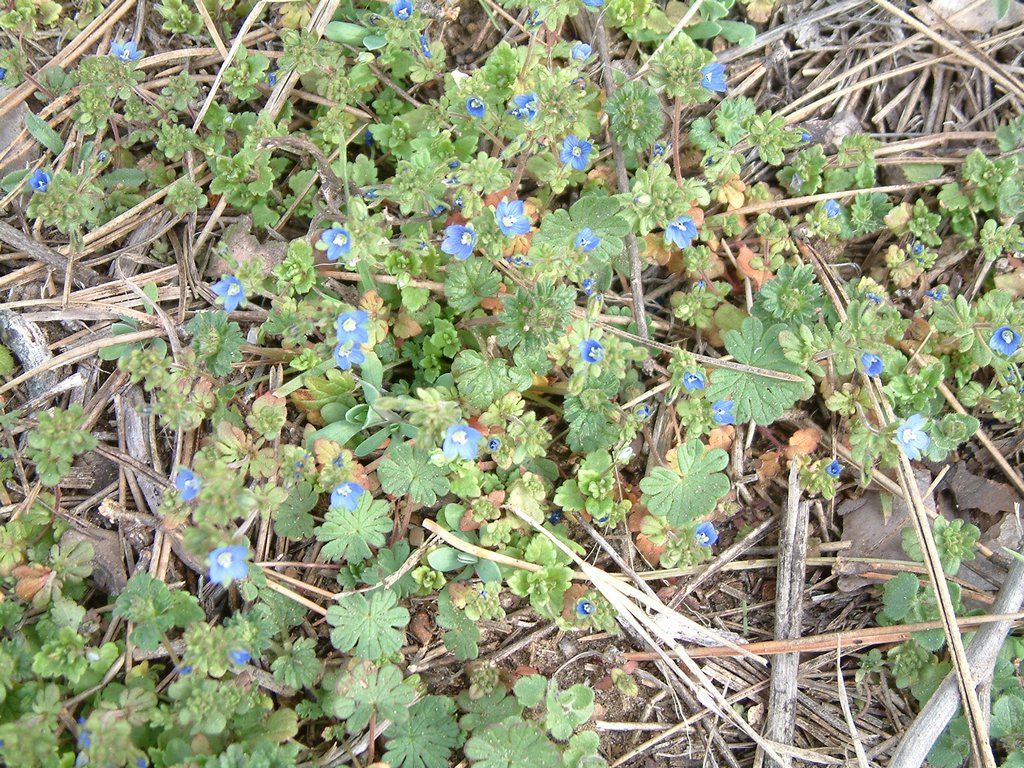 DSCF0023.JPG