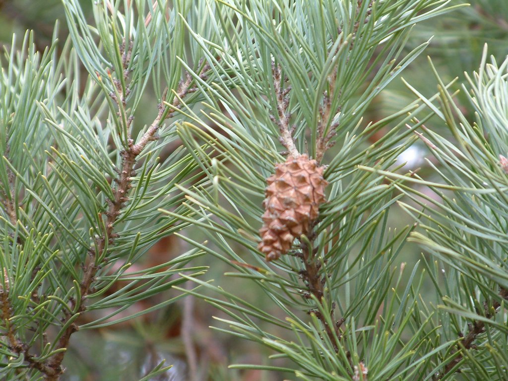 DSCF0025.JPG