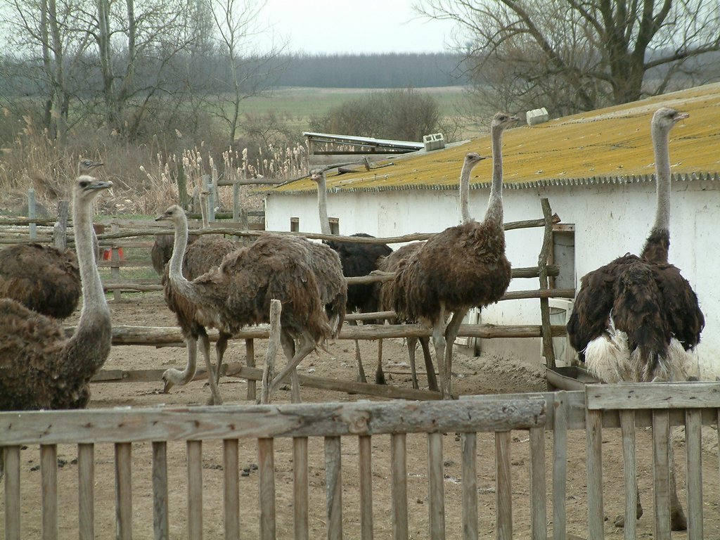 DSCF0026.JPG