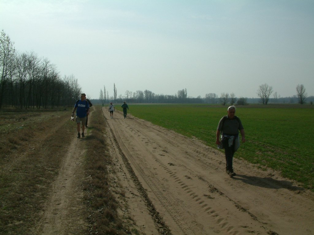 DSCF0029.JPG