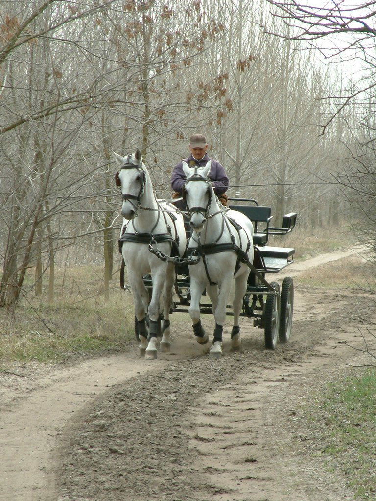 DSCF0034.JPG