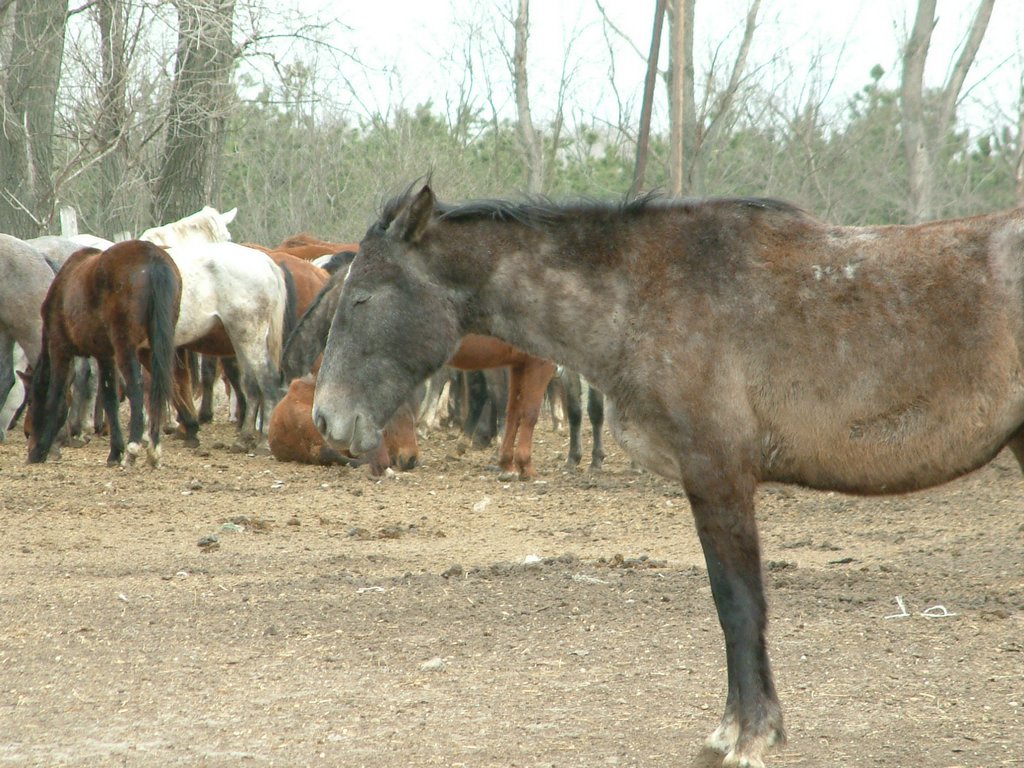 DSCF0045.JPG