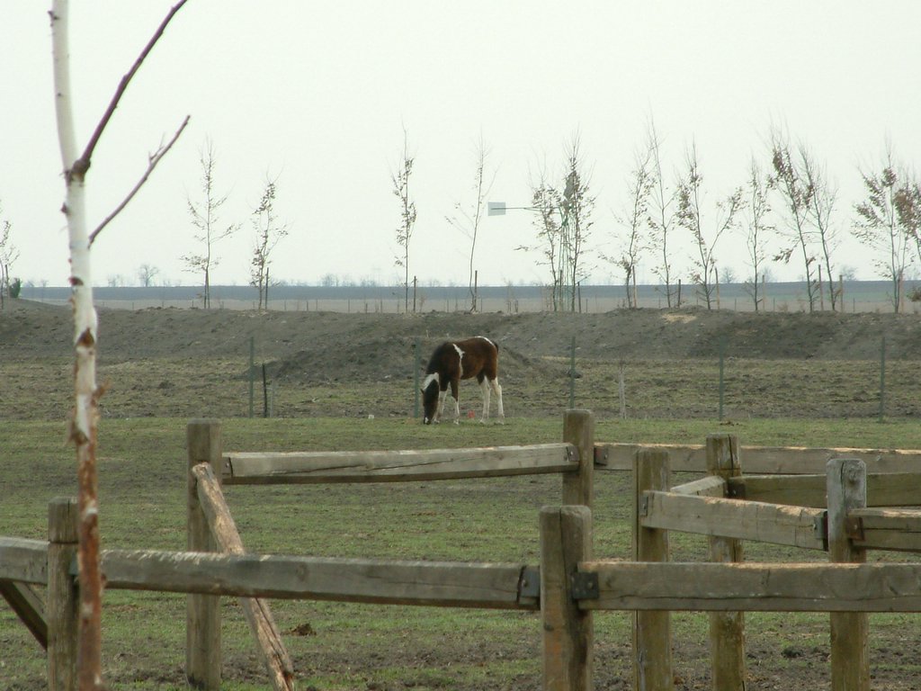 DSCF0056.JPG