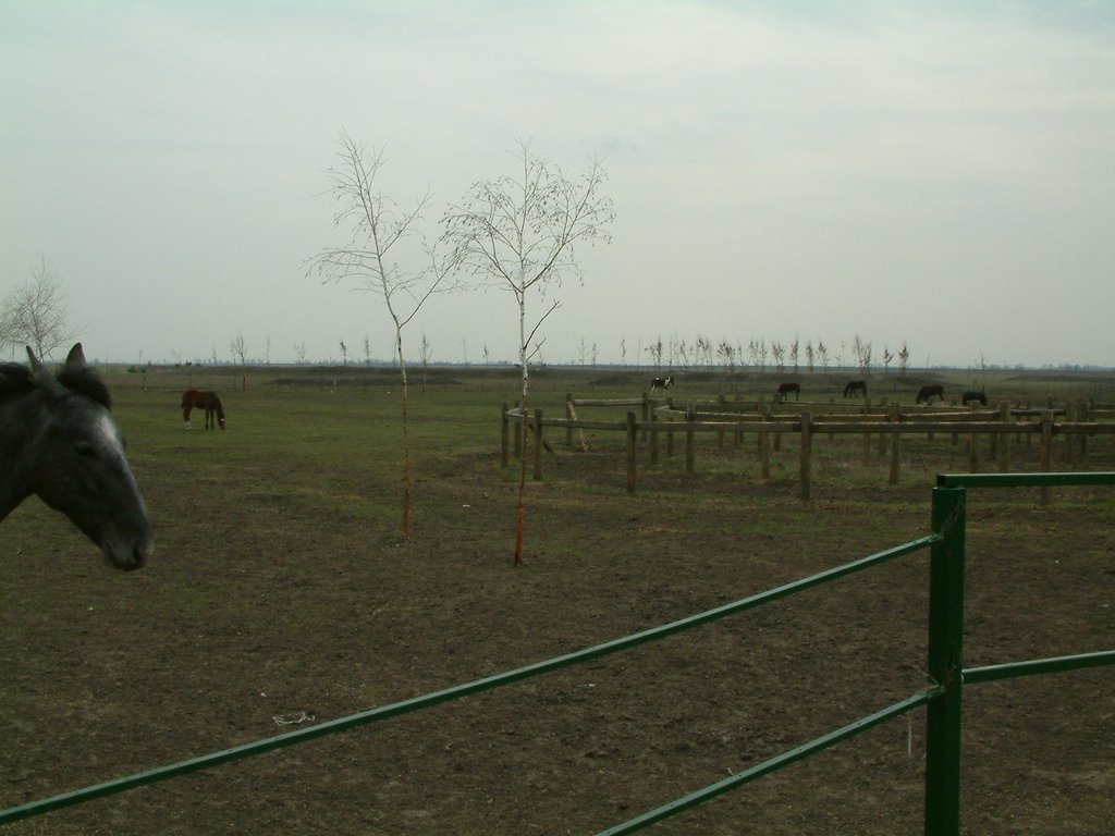 DSCF0057.JPG