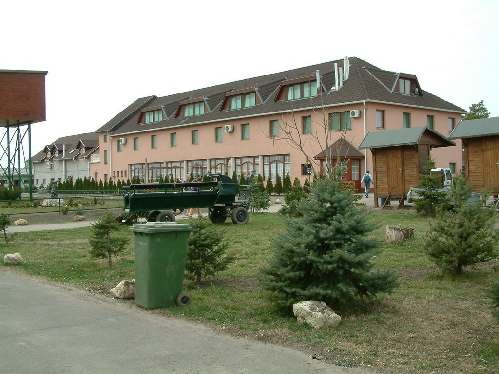 DSCF0061.JPG