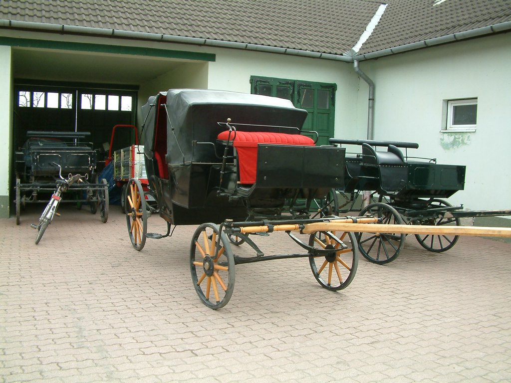 DSCF0063.JPG