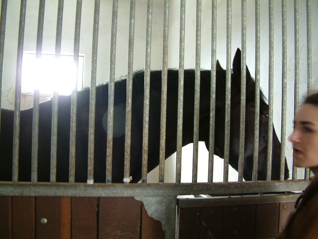 DSCF0068.JPG