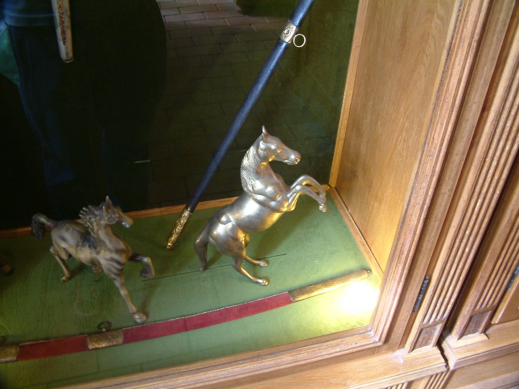 DSCF0071.JPG