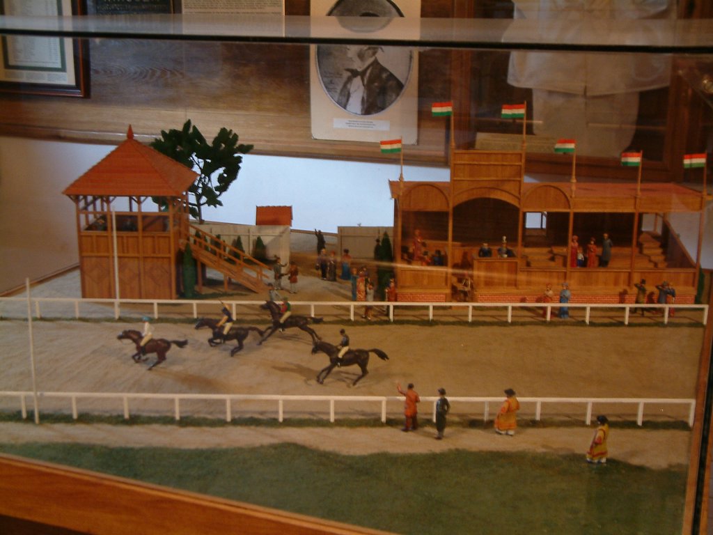 DSCF0077.JPG