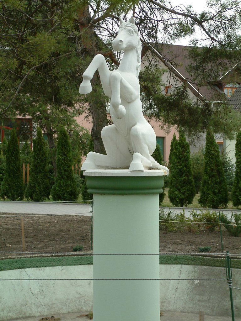 DSCF0086.JPG