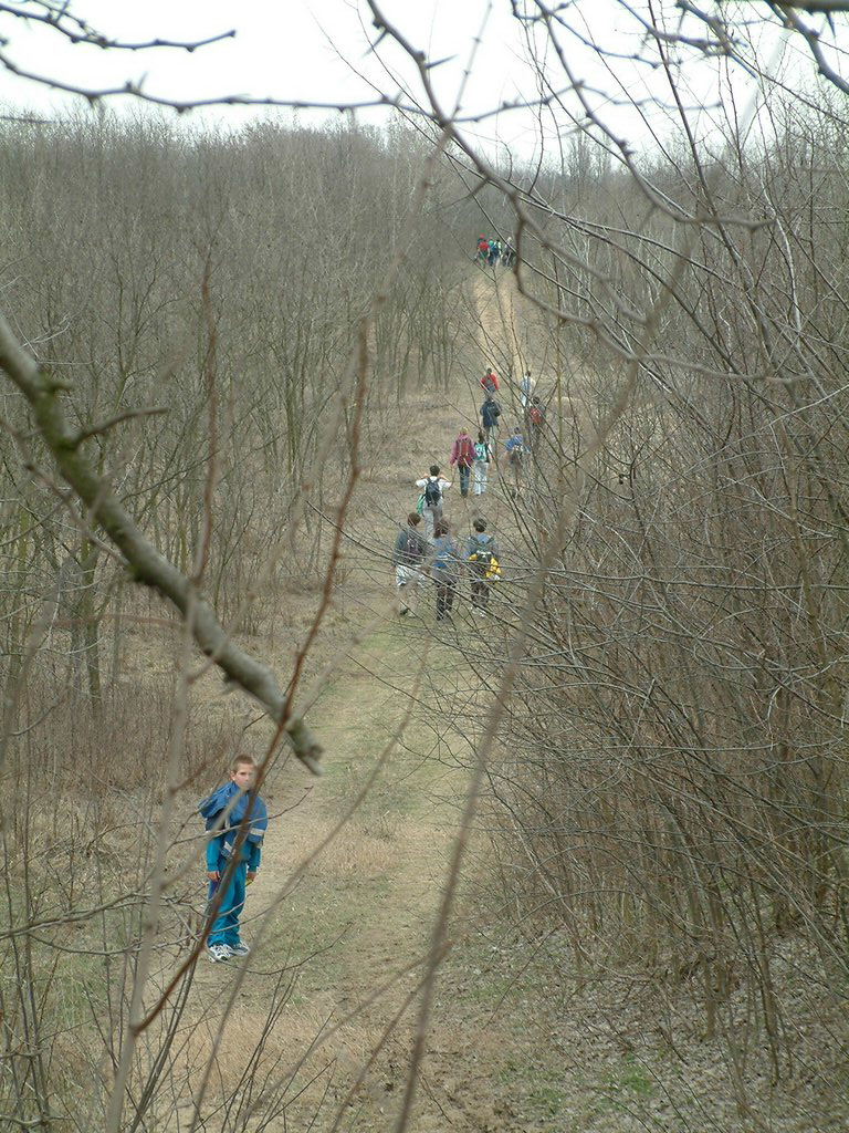 DSCF0090.JPG