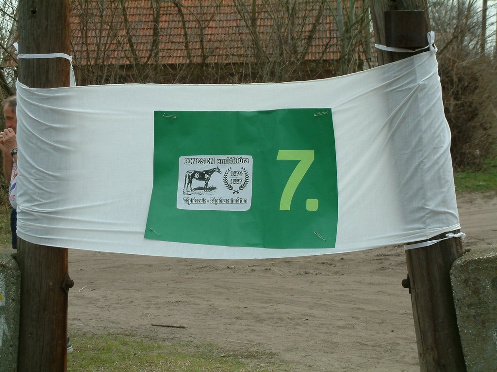 DSCF0092.JPG