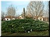 DSCF0009.JPG