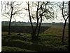 DSCF0010.JPG