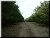 DSCF0015.JPG