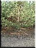 DSCF0016.JPG