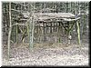 DSCF0021.JPG