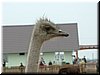 DSCF0054.JPG