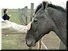 DSCF0055.JPG