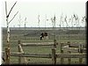 DSCF0056.JPG