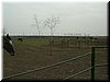 DSCF0057.JPG