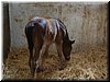 DSCF0066.JPG