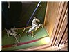 DSCF0071.JPG