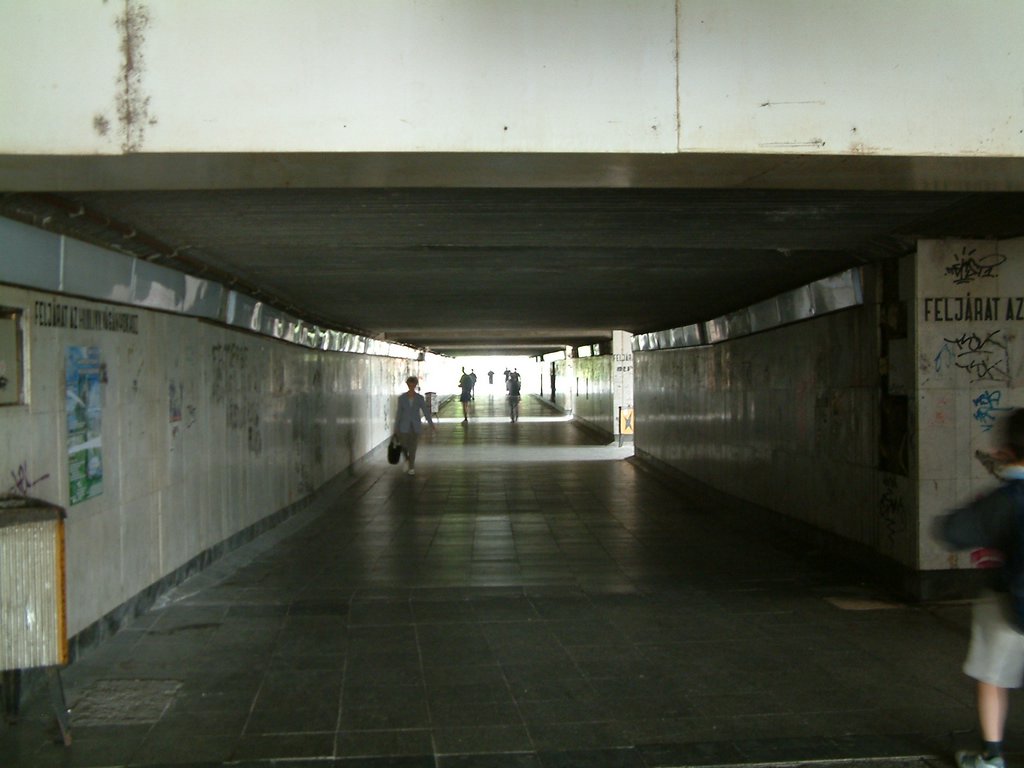 DSCF0020.JPG
