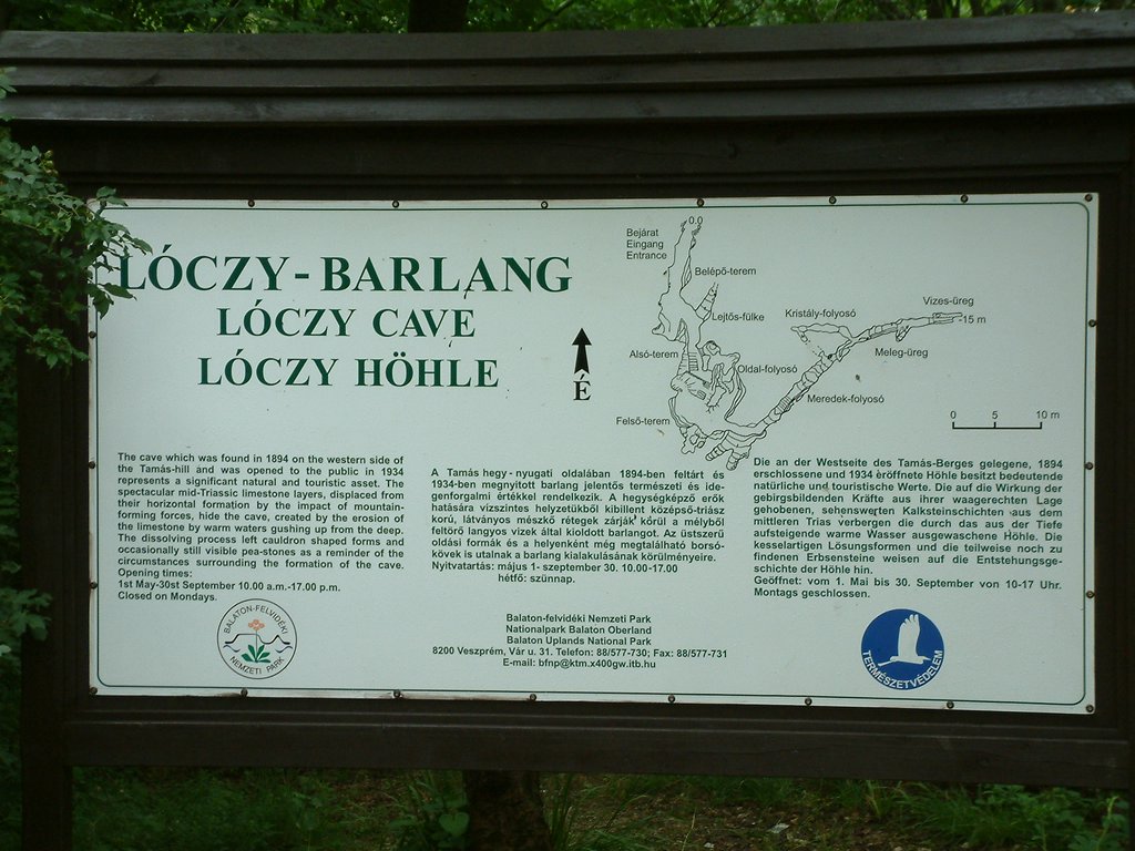DSCF0023.JPG