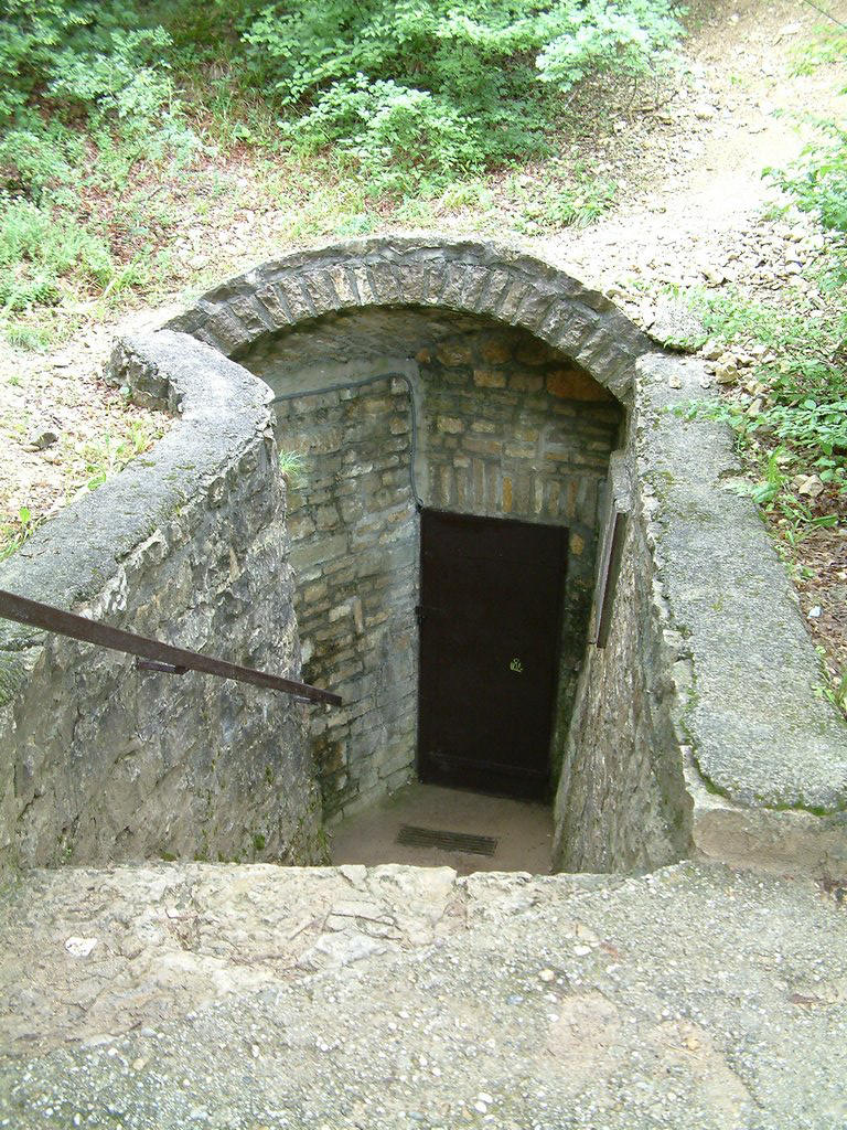 DSCF0024.JPG