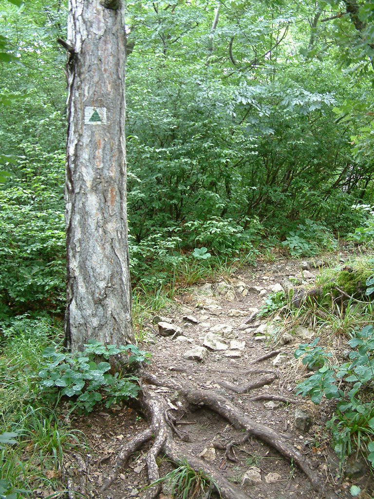 DSCF0025.JPG