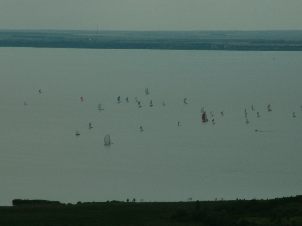 DSCF0037.JPG