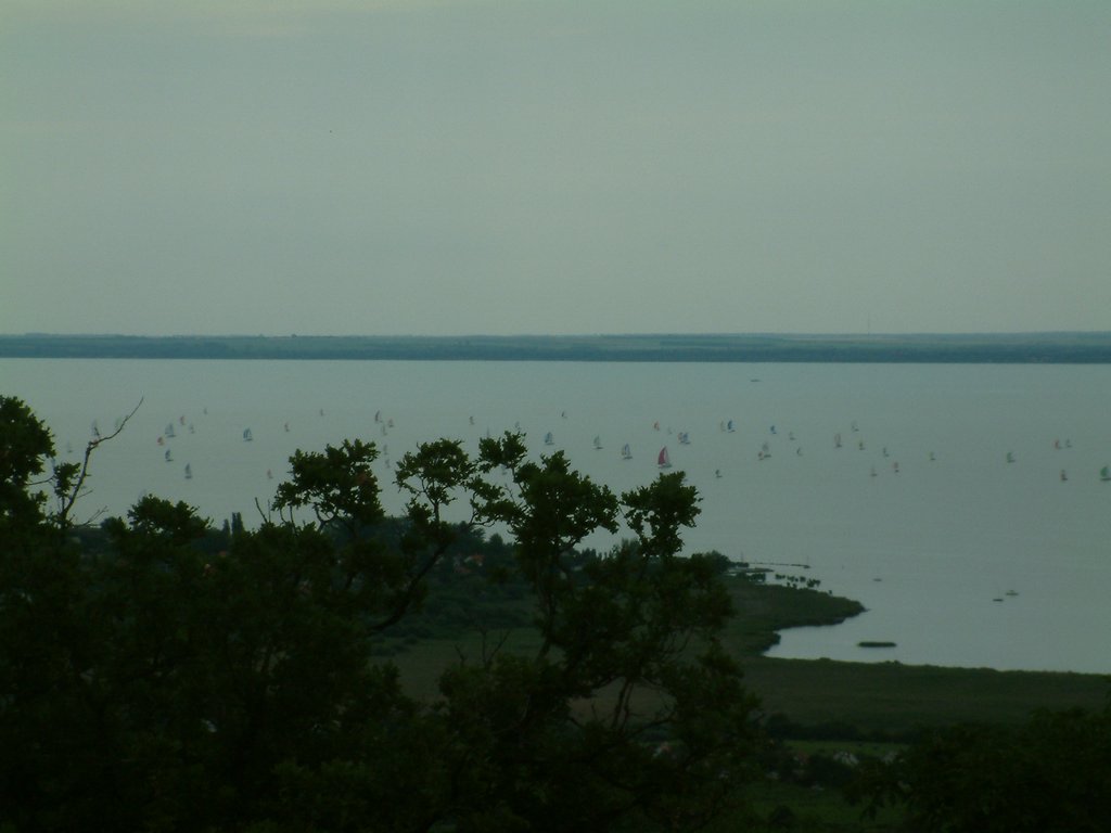 DSCF0041.JPG