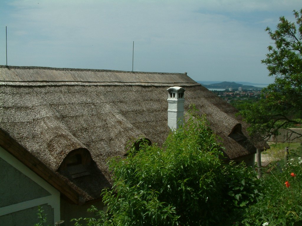 DSCF0048.JPG