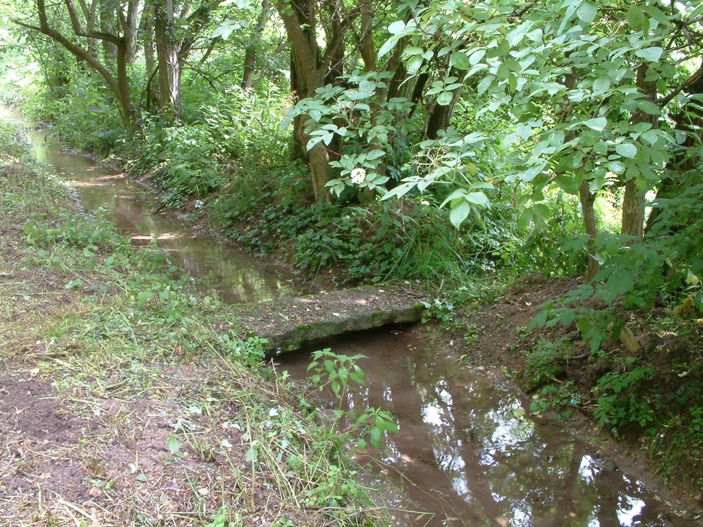DSCF0050.JPG