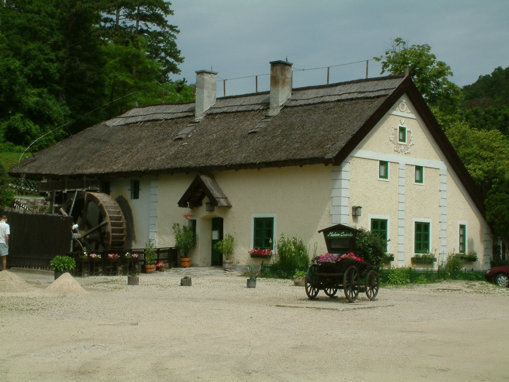 DSCF0051.JPG