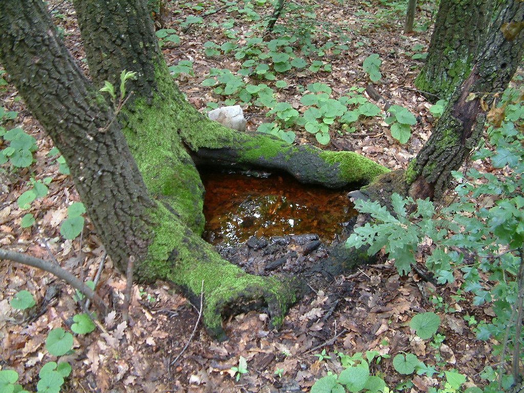 DSCF0052.JPG