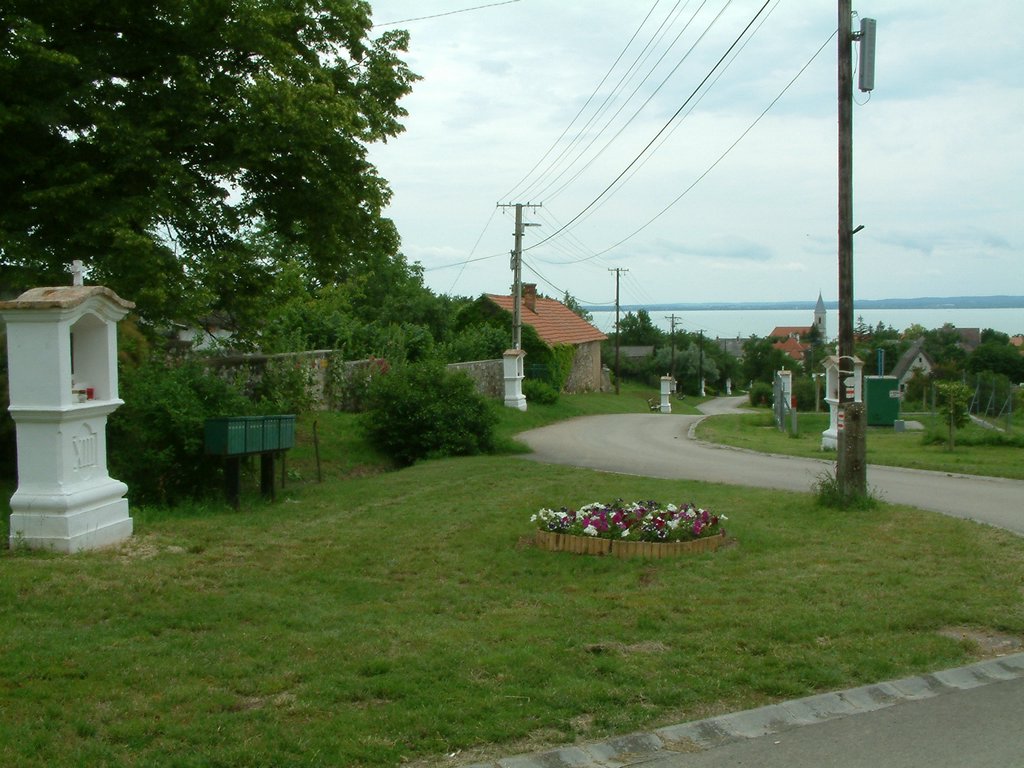DSCF0060.JPG