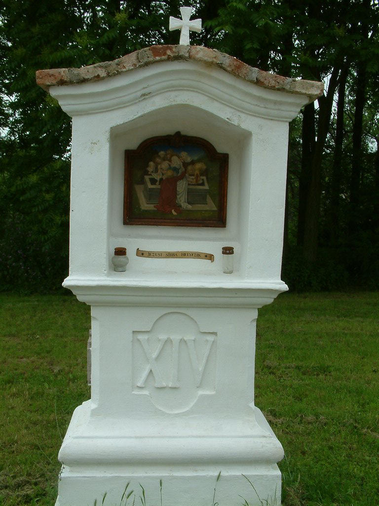 DSCF0061.JPG