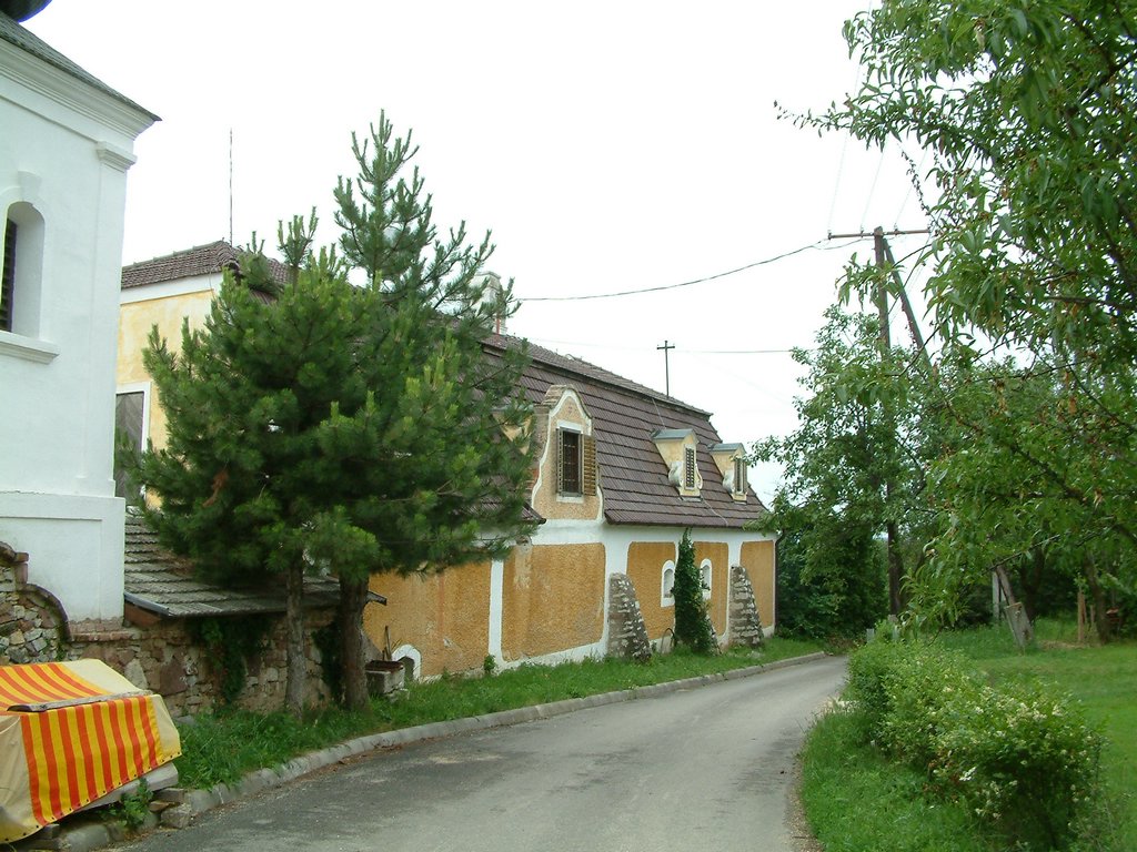 DSCF0066.JPG