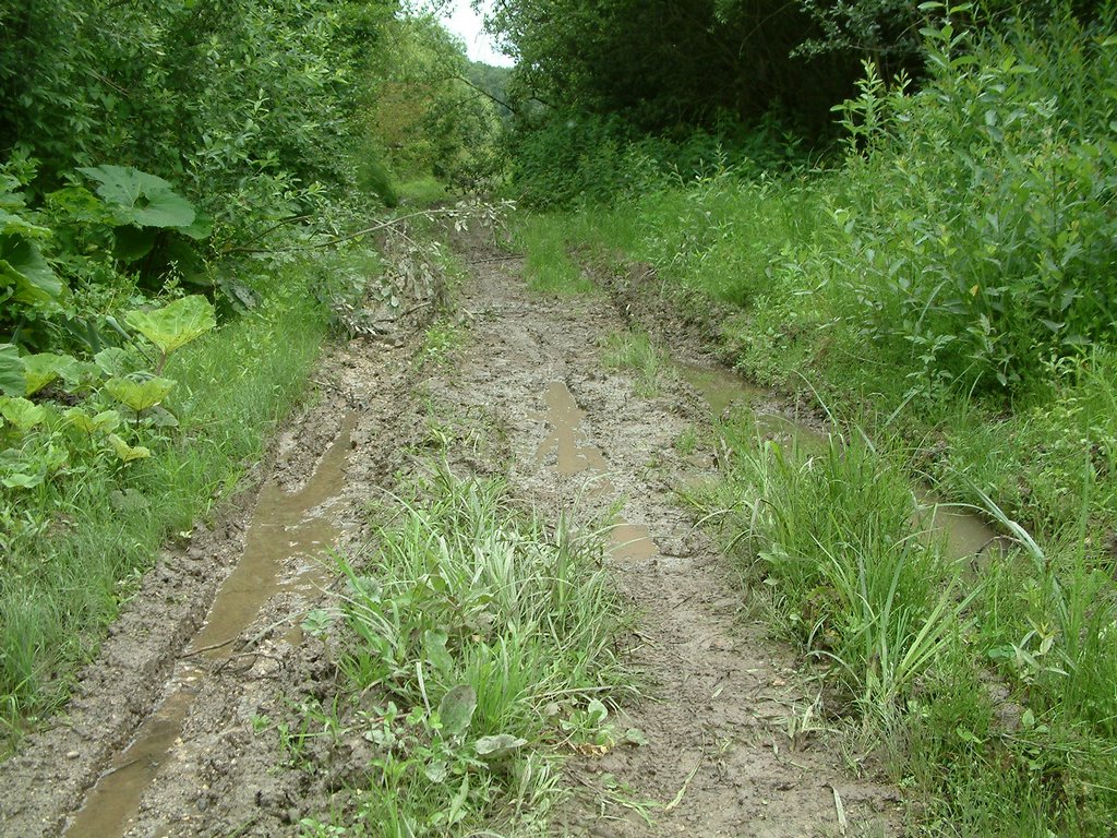 DSCF0075.JPG